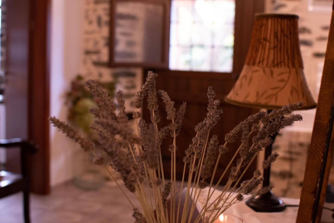 Villa Efrosini Dhrákia エクステリア 写真